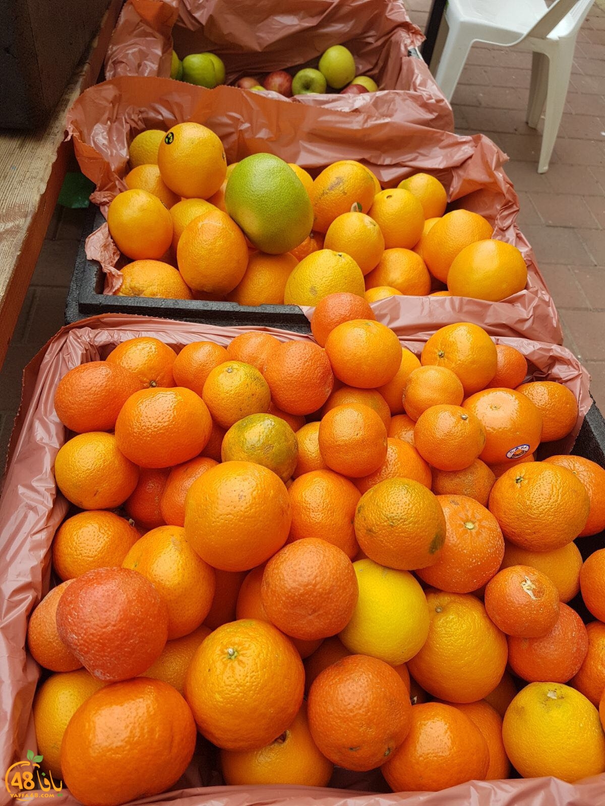 zahra2 primary school3 (45).jpg